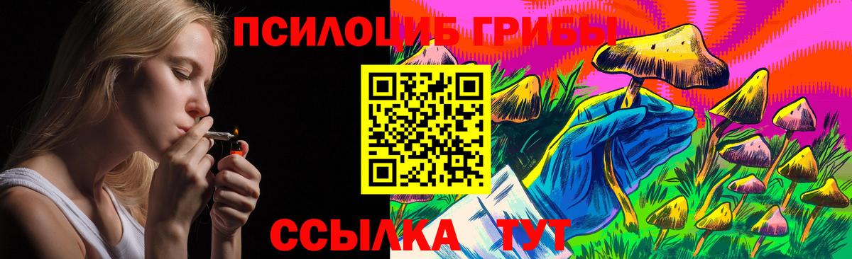 Лыткарино  Галлюциногенные грибы Psilocybine cubensis  Галлюциногенные грибы Psilocybine cubensis  Вход с VPN 